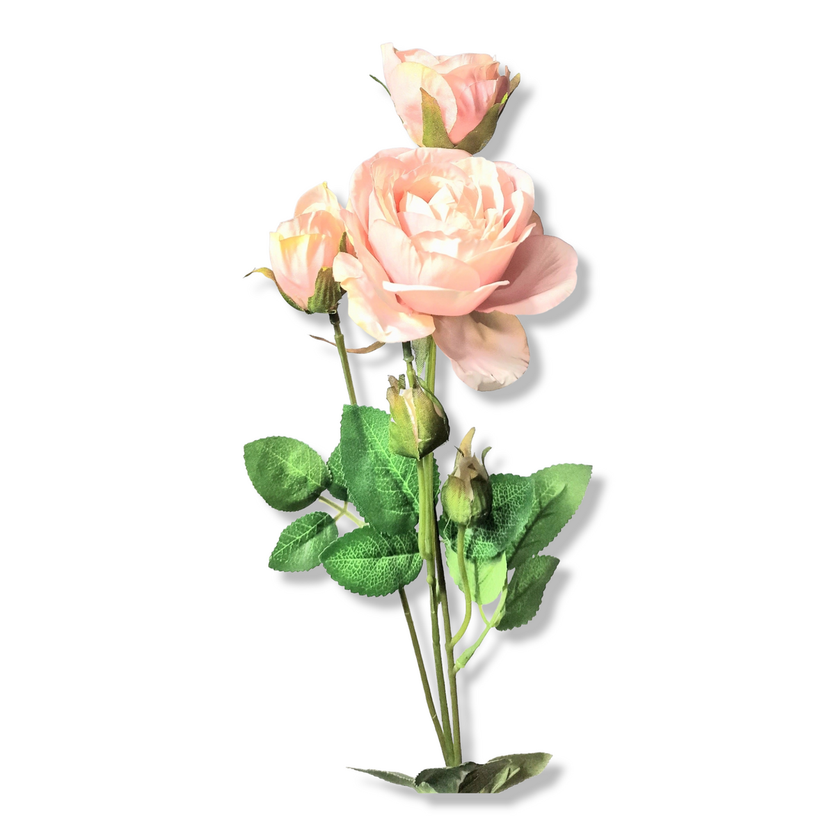 plastblomma