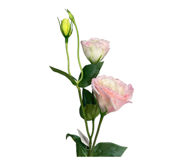 konstgjord Prärieklocka "ABC Deep Rose" Eustoma grandiflorum