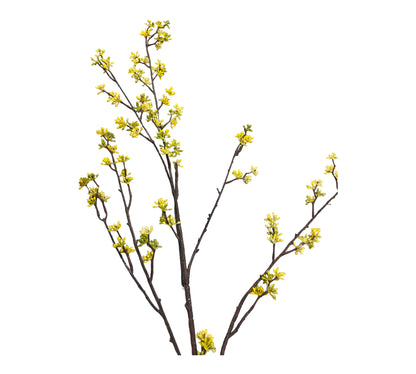 konstgjord. Forsythia kvist