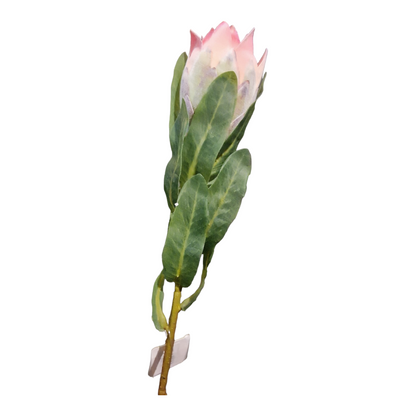 Pink King Protea i plast