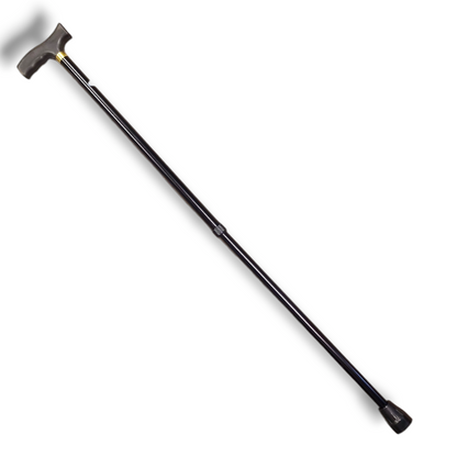 Käpp vikbar