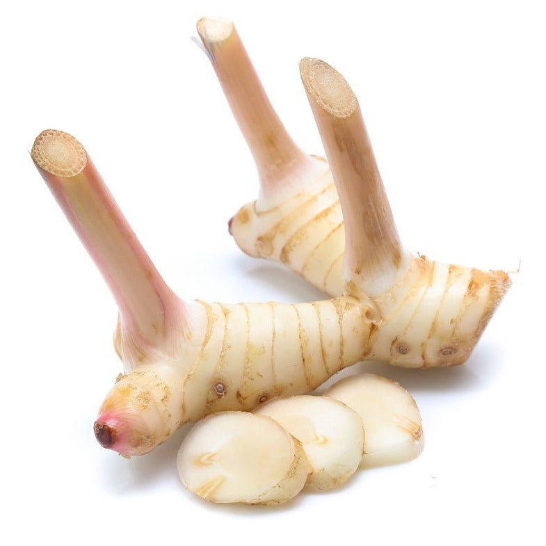 Färsk Galangal 100g