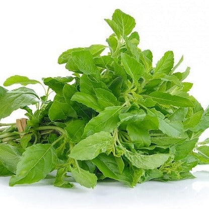 Stark Basilika 100g