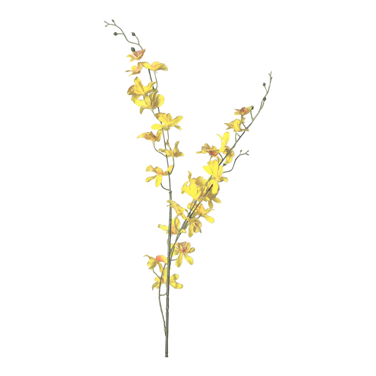 plastblomma orchide